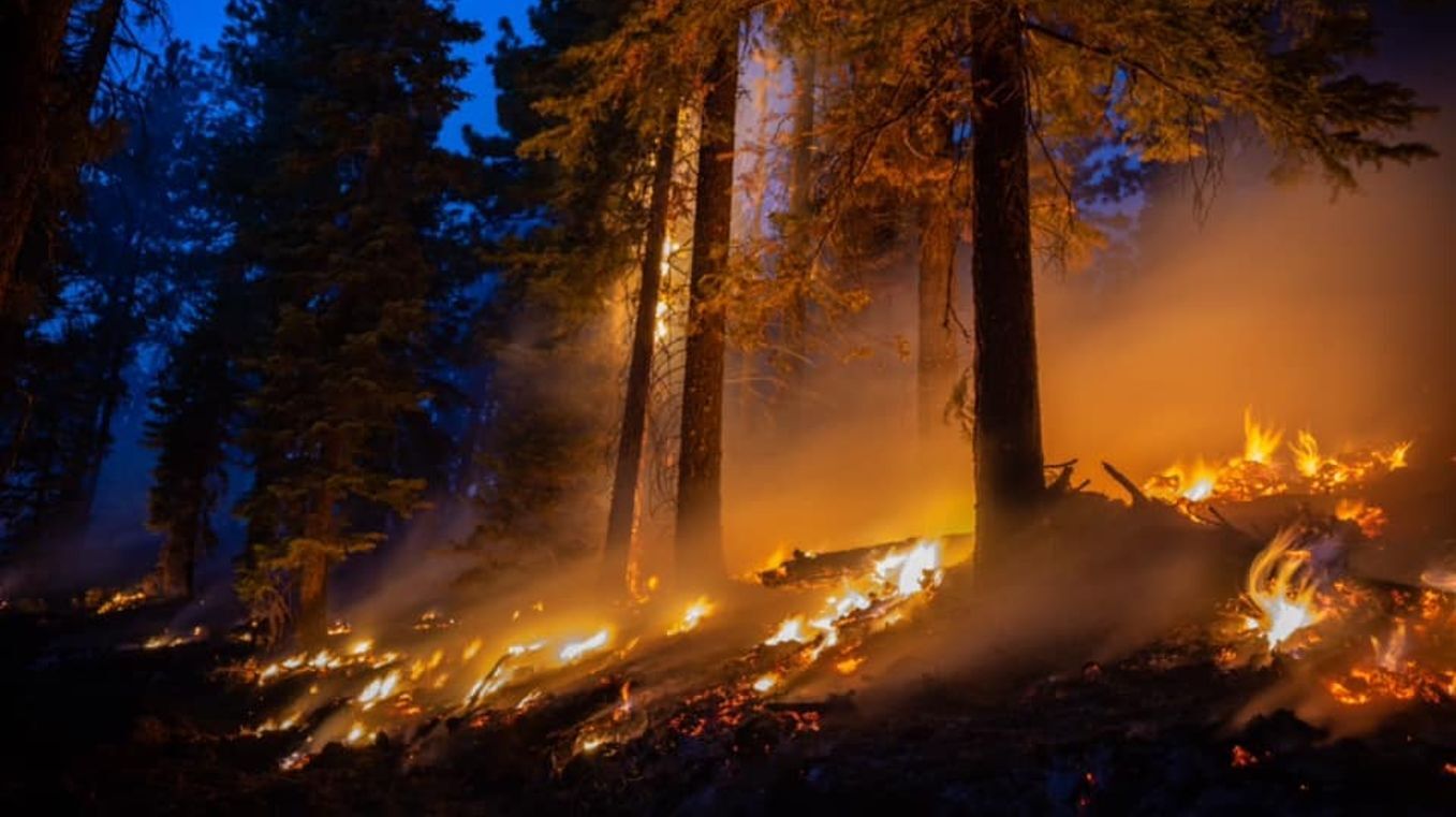 Dixie Fire Sept 8